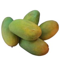 Mango Dasheri